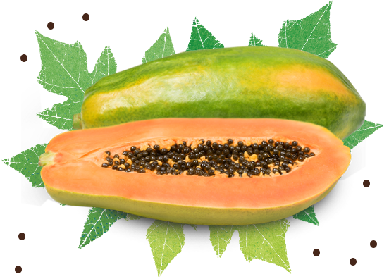 Papaya de Formosa